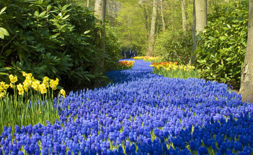732258 (a): :2560x1563